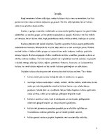 Referāts 'Starpkultūru saskarsme - Itālijas raksturojums', 2.