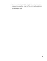 Referāts 'Starpkultūru saskarsme - Itālijas raksturojums', 28.