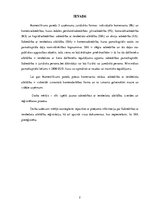 Referāts 'Sabiedrība ar ierobežotu atbildību reģistrācija', 2.