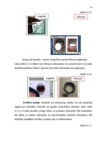 Diplomdarbs 'Personu apliecinošu dokumentu viltojumu veidu kriminālistiskā izpēte', 41.