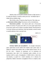 Diplomdarbs 'Personu apliecinošu dokumentu viltojumu veidu kriminālistiskā izpēte', 42.