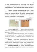 Diplomdarbs 'Personu apliecinošu dokumentu viltojumu veidu kriminālistiskā izpēte', 43.