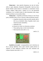 Diplomdarbs 'Personu apliecinošu dokumentu viltojumu veidu kriminālistiskā izpēte', 46.