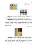 Diplomdarbs 'Personu apliecinošu dokumentu viltojumu veidu kriminālistiskā izpēte', 51.