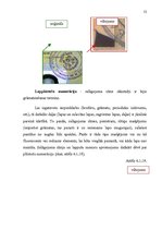 Diplomdarbs 'Personu apliecinošu dokumentu viltojumu veidu kriminālistiskā izpēte', 52.