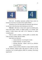 Diplomdarbs 'Personu apliecinošu dokumentu viltojumu veidu kriminālistiskā izpēte', 53.