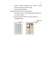 Diplomdarbs 'Personu apliecinošu dokumentu viltojumu veidu kriminālistiskā izpēte', 67.