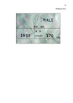 Diplomdarbs 'Personu apliecinošu dokumentu viltojumu veidu kriminālistiskā izpēte', 83.