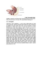 Diplomdarbs 'Adjuvantas un neoadjuvantas staru terapijas salīdzinājums taisnās zarnas vēža pa', 8.