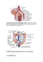 Diplomdarbs 'Adjuvantas un neoadjuvantas staru terapijas salīdzinājums taisnās zarnas vēža pa', 9.