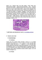 Diplomdarbs 'Adjuvantas un neoadjuvantas staru terapijas salīdzinājums taisnās zarnas vēža pa', 11.