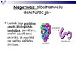 Prezentācija 'Olbaltumvielu denaturācija', 8.