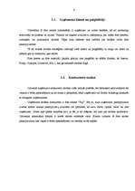 Referāts 'SIA "Alba LTD" foto salona "Kodak Ekspress" ārējās un iekšējās vides raksturojum', 6.