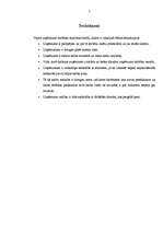 Referāts 'SIA "Alba LTD" foto salona "Kodak Ekspress" ārējās un iekšējās vides raksturojum', 7.