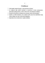 Referāts 'SIA "Alba LTD" foto salona "Kodak Ekspress" ārējās un iekšējās vides raksturojum', 8.