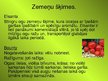 Prezentācija 'Latvijas zemenes', 9.