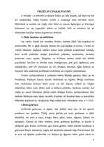 Referāts 'Salonfrizētavas', 8.