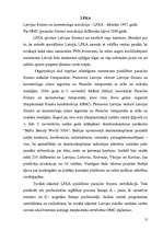 Referāts 'Salonfrizētavas', 12.