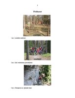 Referāts 'Velobrauciens Cēsis - Valmiera', 8.