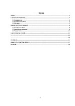 Referāts 'Foto apstrādes programmas', 2.