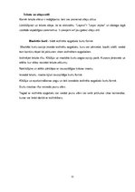 Referāts 'Foto apstrādes programmas', 12.