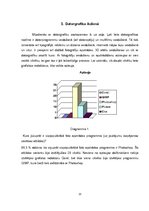 Referāts 'Foto apstrādes programmas', 13.