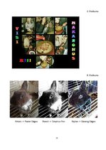Referāts 'Foto apstrādes programmas', 21.