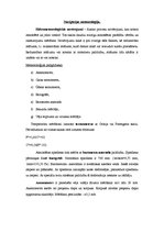 Prakses atskaite 'Prakses atskaite m/t "Hose Marti"', 12.