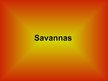 Prezentācija 'Savannas', 1.