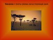 Prezentācija 'Savannas', 2.