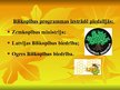 Prezentācija 'Pieejamais atbalsts biškopības nozarei', 10.