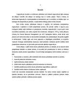 Referāts 'Personāla vadīšanas process uzņēmumā', 3.