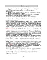 Konspekts 'Tiesību filosofijas kursa konspekts', 4.