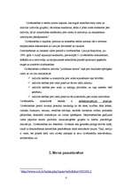 Referāts 'Bērna seksuāla izmantošana', 3.