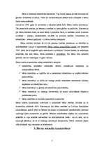 Referāts 'Bērna seksuāla izmantošana', 4.