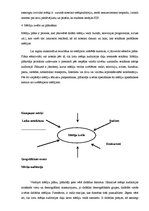 Referāts 'LU Sociālo zinātņu fakultātes reklāmas kampaņa', 8.