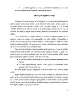 Diplomdarbs 'Bilingvālā izglītība latviešu valodas apguves veicināšanai 5-6 gadīgiem bērniem', 13.