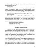 Diplomdarbs 'Bilingvālā izglītība latviešu valodas apguves veicināšanai 5-6 gadīgiem bērniem', 34.