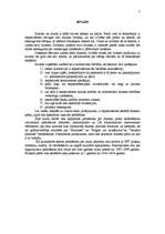 Referāts 'Biznesa plāns - uzņēmuma attīstības perspektīvu atspoguļotājs', 3.