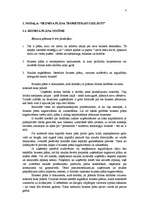 Referāts 'Biznesa plāns - uzņēmuma attīstības perspektīvu atspoguļotājs', 4.