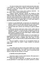 Referāts 'Biznesa plāns - uzņēmuma attīstības perspektīvu atspoguļotājs', 9.