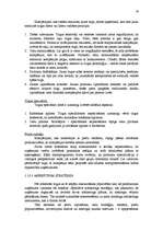 Referāts 'Biznesa plāns - uzņēmuma attīstības perspektīvu atspoguļotājs', 18.