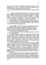 Referāts 'Biznesa plāns - uzņēmuma attīstības perspektīvu atspoguļotājs', 19.