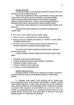 Referāts 'Biznesa plāns - uzņēmuma attīstības perspektīvu atspoguļotājs', 20.