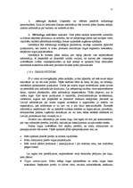 Referāts 'Biznesa plāns - uzņēmuma attīstības perspektīvu atspoguļotājs', 21.