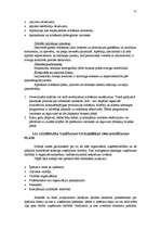 Referāts 'Biznesa plāns - uzņēmuma attīstības perspektīvu atspoguļotājs', 25.