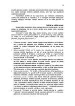 Referāts 'Biznesa plāns - uzņēmuma attīstības perspektīvu atspoguļotājs', 26.