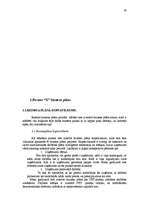 Referāts 'Biznesa plāns - uzņēmuma attīstības perspektīvu atspoguļotājs', 30.