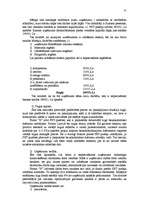 Referāts 'Biznesa plāns - uzņēmuma attīstības perspektīvu atspoguļotājs', 31.