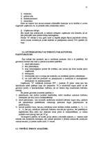 Referāts 'Biznesa plāns - uzņēmuma attīstības perspektīvu atspoguļotājs', 32.